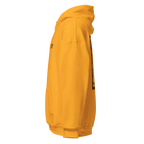 FLEET CAPTAIN